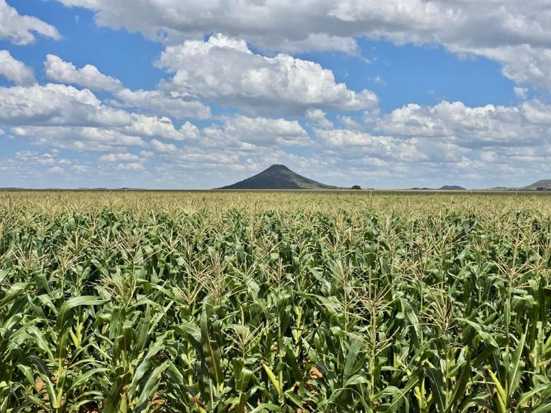 0 Bedroom Property for Sale in Bloemfontein Rural Free State